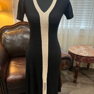 Elegant Black and Cream V-Neck Dress